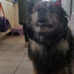 Meet your Posher, Victory